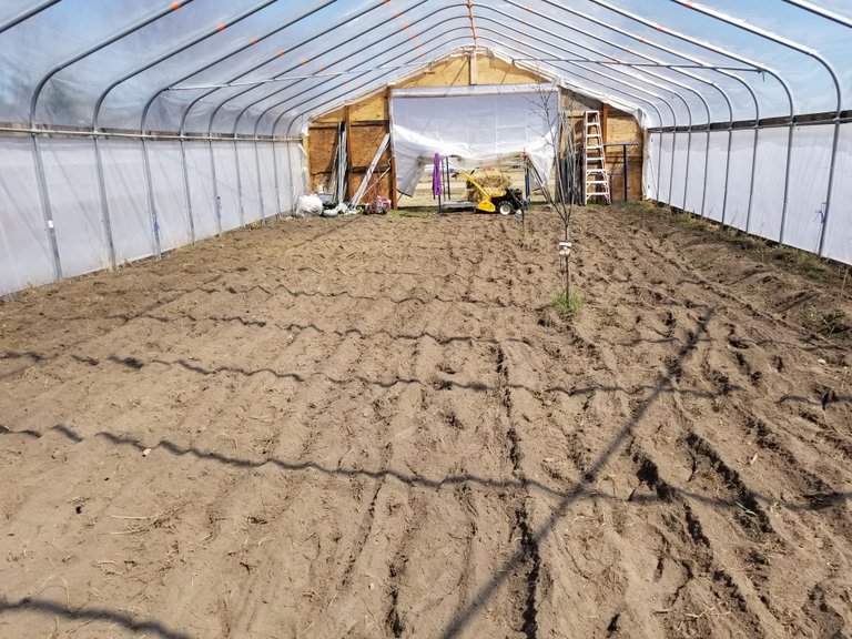 2018Apr24AllTilled.jpg