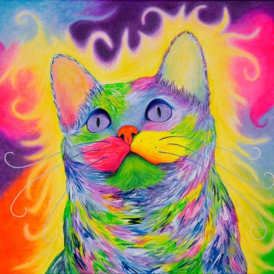 cat rainbow new years111.jpg