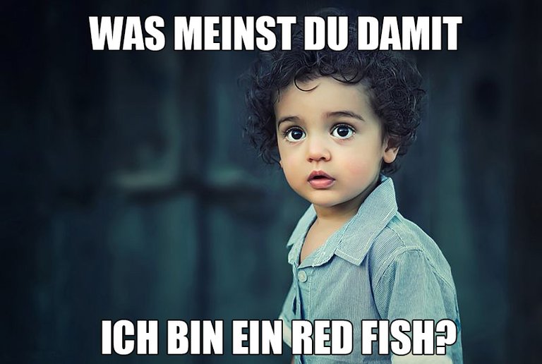 redfish_meme.jpg