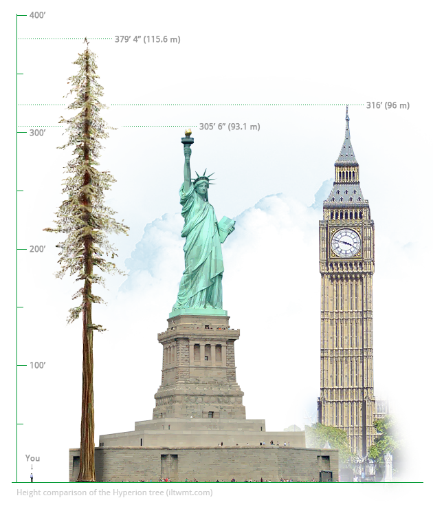 hyperion-height-comparison-statue-of-liberty-big-ben.png