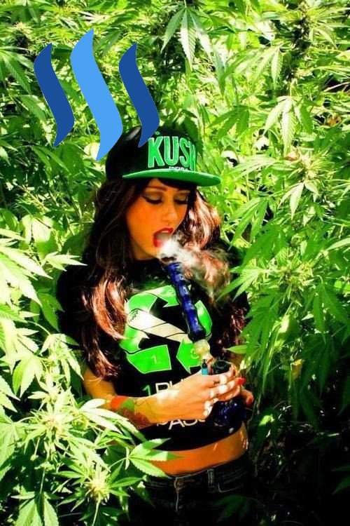 Cannagirl bong sun outside.jpg