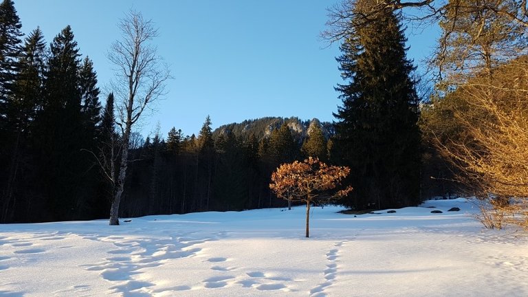 20170129_163430.jpg