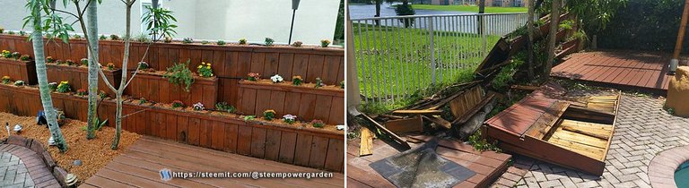 2017-09-14-Update-HurricaneIrma-SteemPowerGarden-5.jpg