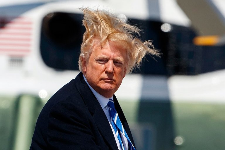 trump-hair.jpg