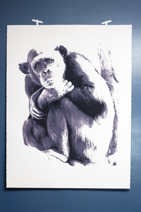 Chimpanzee INS Print.jpg