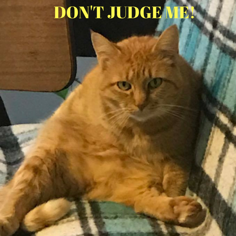 DON'T JUDGE ME!-2.png