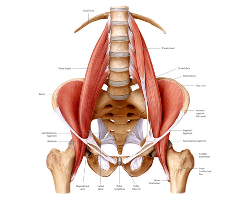 Psoas