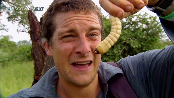 BEAR-GRYLLS-3.jpg