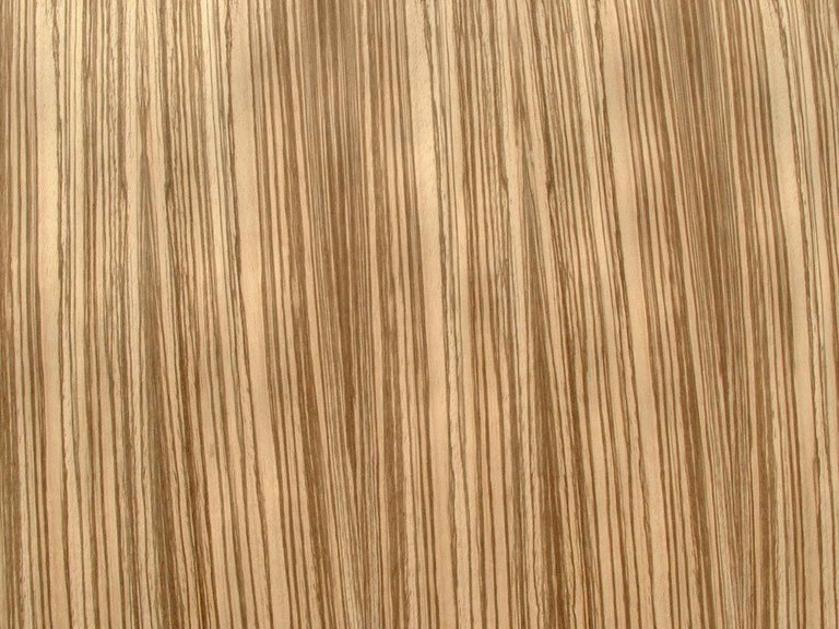 ZEBRAWOOD.jpg