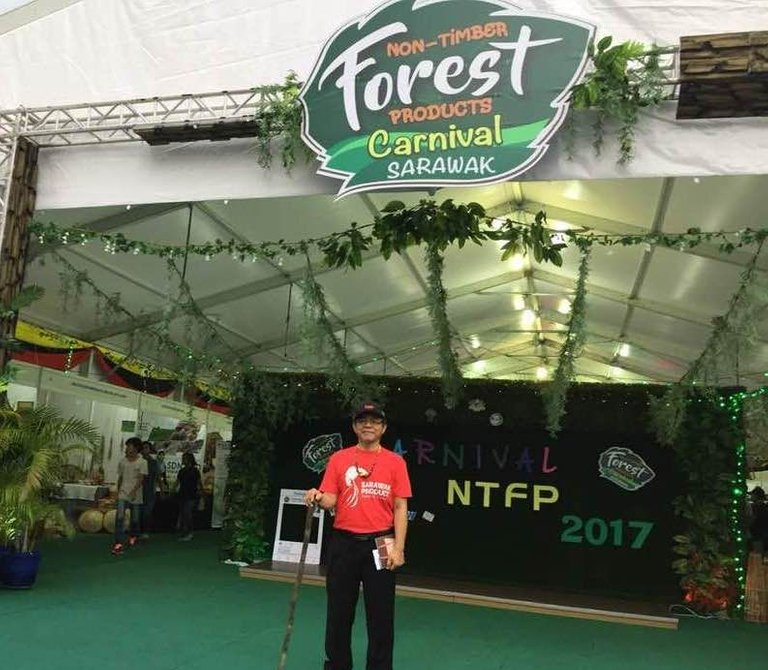 Forest Fest 2017 3.jpg