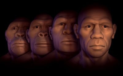 human-evolution-562597273-57c19a143df78cc16e269910.jpg