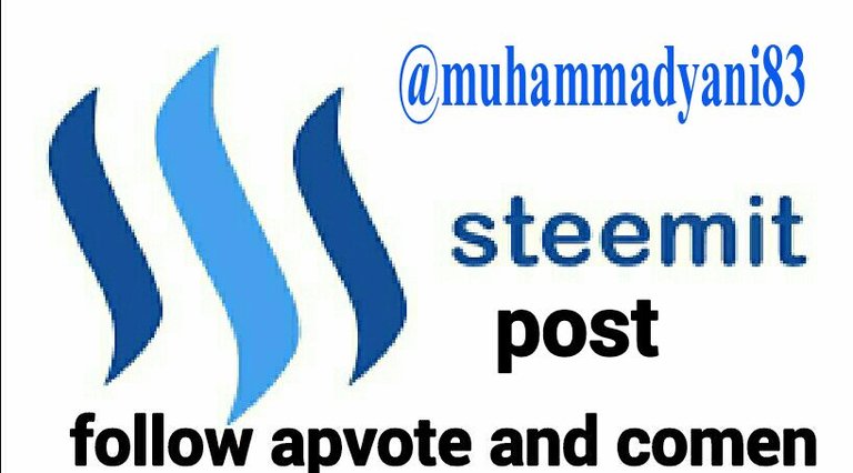 steemit.jpg