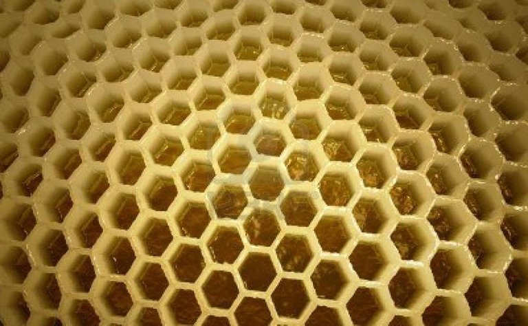 honeycomb.jpg