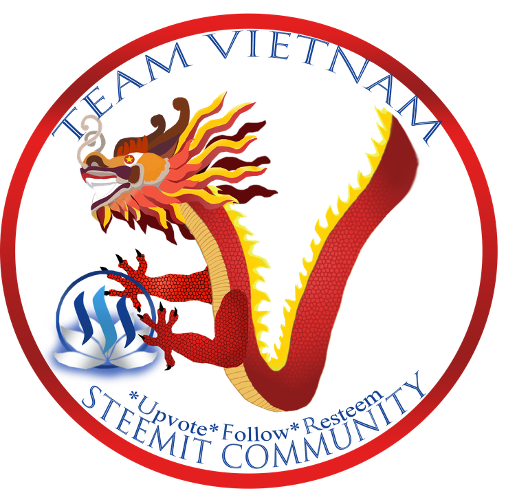 viet4.png