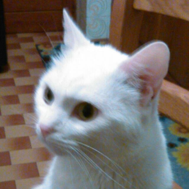 IMG-20160320-WA0005.jpg
