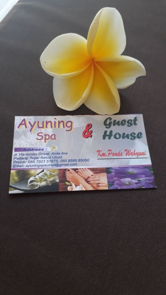 Ayuning Spa -bus card.jpg