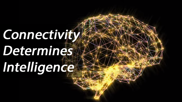 brain-connectivity-determines-intelligence-295827.png