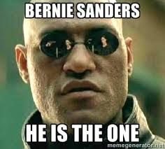 a9d8abaa46aac03fa51d78217f6d6cb3--bernie-memes-new-memes.jpg