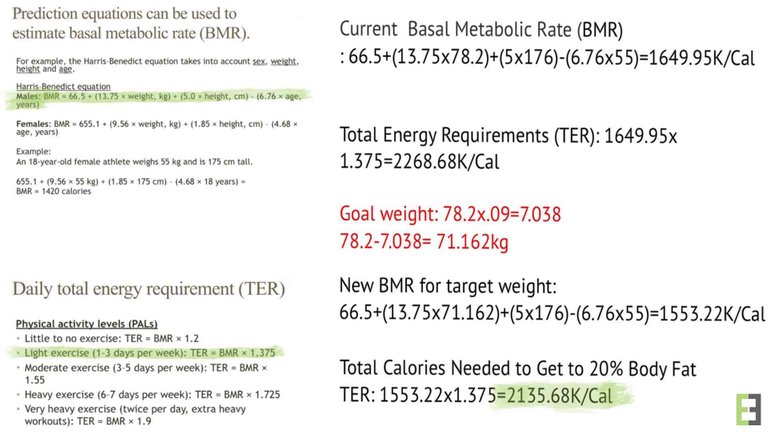 Harris Benedict equation.jpg