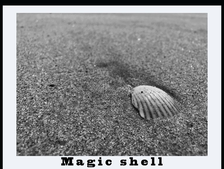 magic shell.jpg