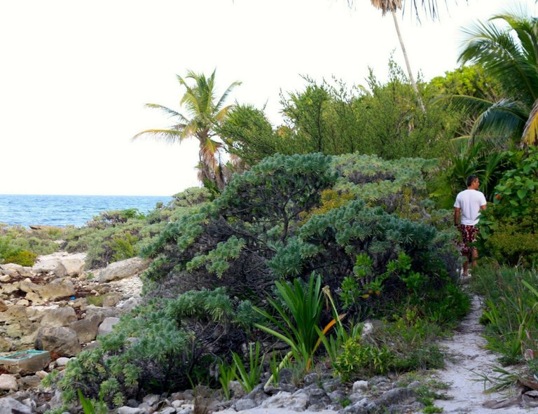 xpuha tropical beach paradise.jpg