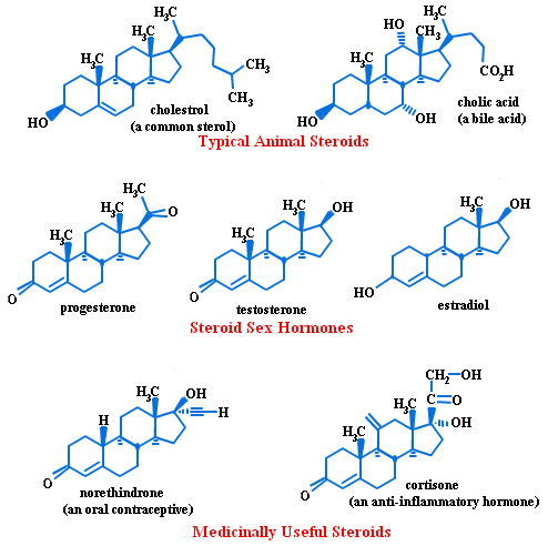 different-forms-of-steroids.png