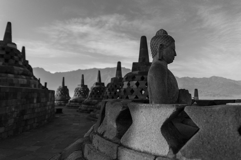 buda B&W.jpg