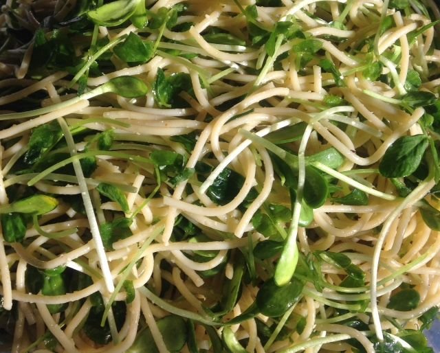 sprout pasta.jpg