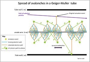 300px-Spread_of_avalanches_in_G-M_tube.jpg