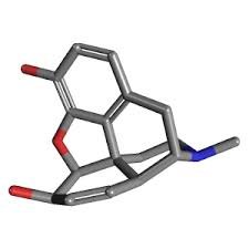 global morphine sulfate market.jpg