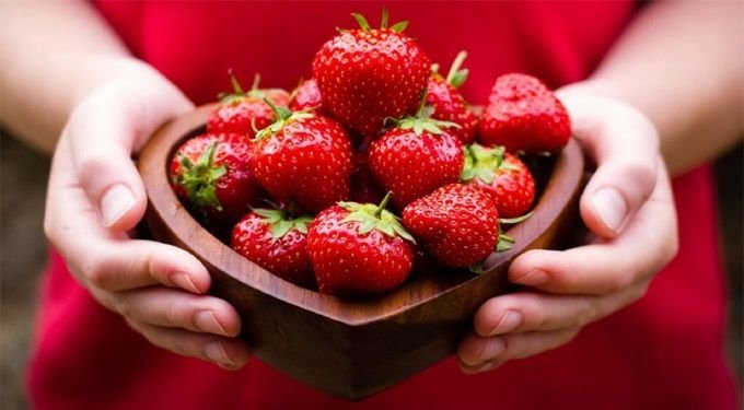 alimentacion-fresas 9.jpg