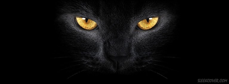 eyes-in-dark-facebook-cover.jpg