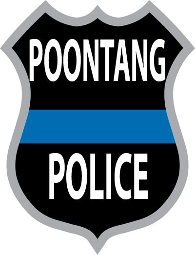 police-badge-decal-17.jpg