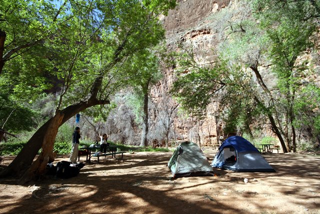 havasupai2010-4.jpg