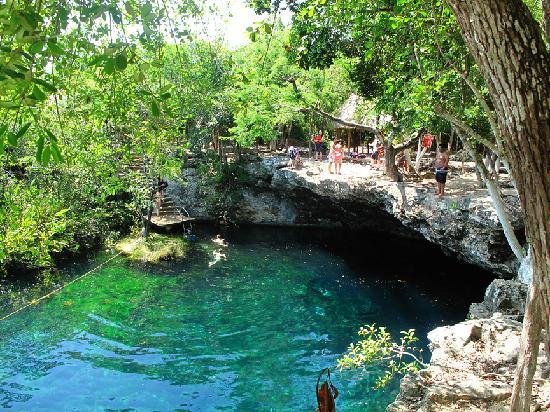 a-cenote-we-went-snorkeling.jpg