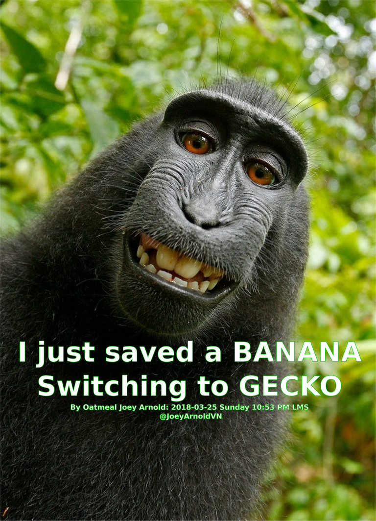 MEME Monkey Gecko Banana Saved 2018-03-25 Sun.png