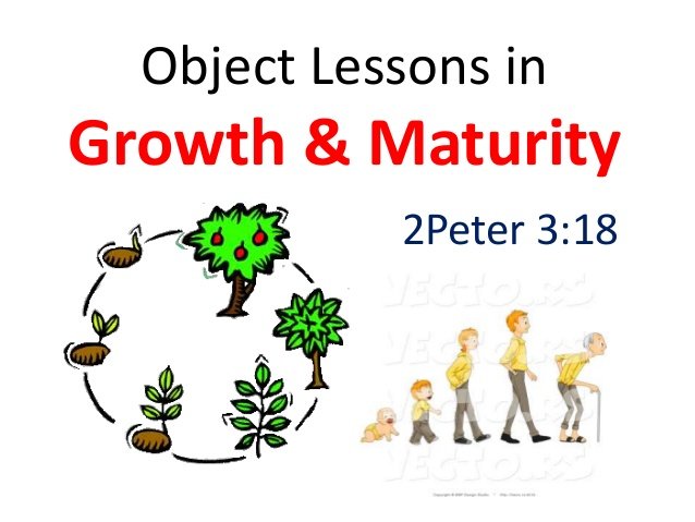 msg-spiritual-growth-maturity-1-638.jpg