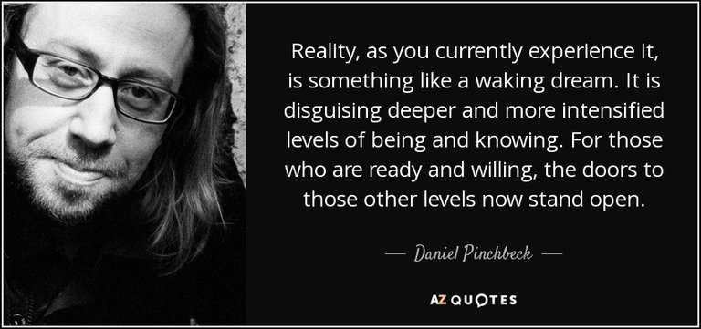 quote-reality-as-you-currently-experience-it-is-something-like-a-waking-dream-it-is-disguising-daniel-pinchbeck-63-48-09.jpg