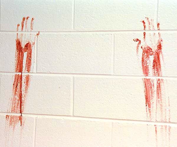 bloody handprints - australian police forensics.jpg