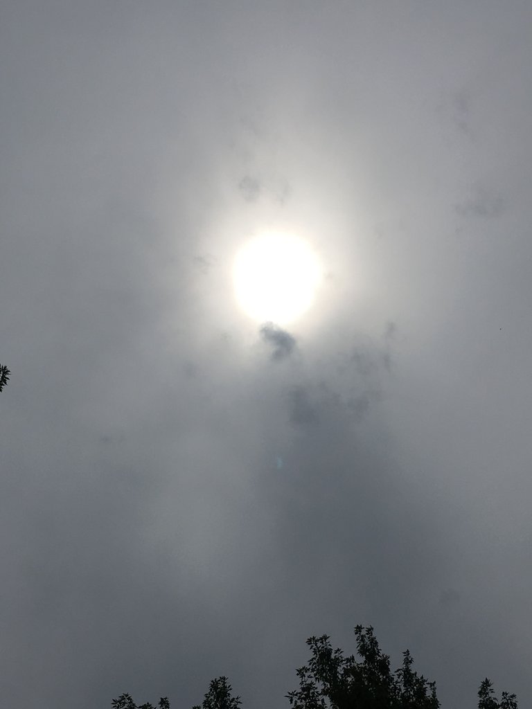 solar eclipse .JPG