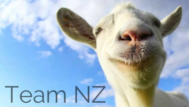 teamnz-bot.jpg