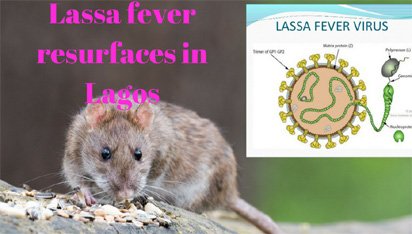 Lassa-fever1.jpg