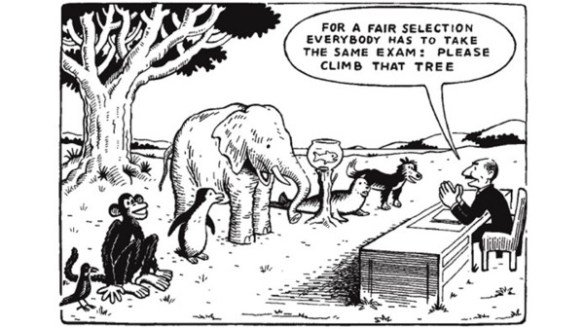 Animals-Exam-600x338.jpg