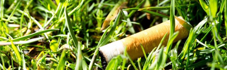 cigarette-on-grass.jpg