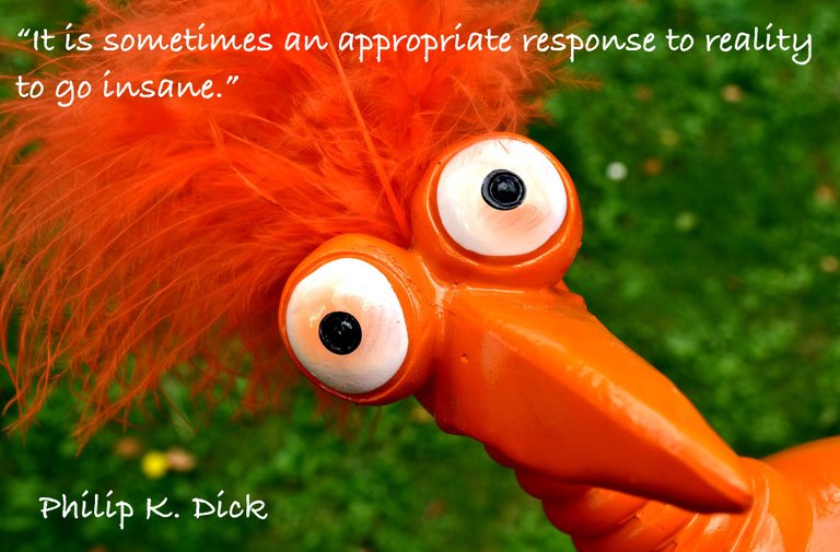 It is sometimes an appropriate response to reality to go insane.