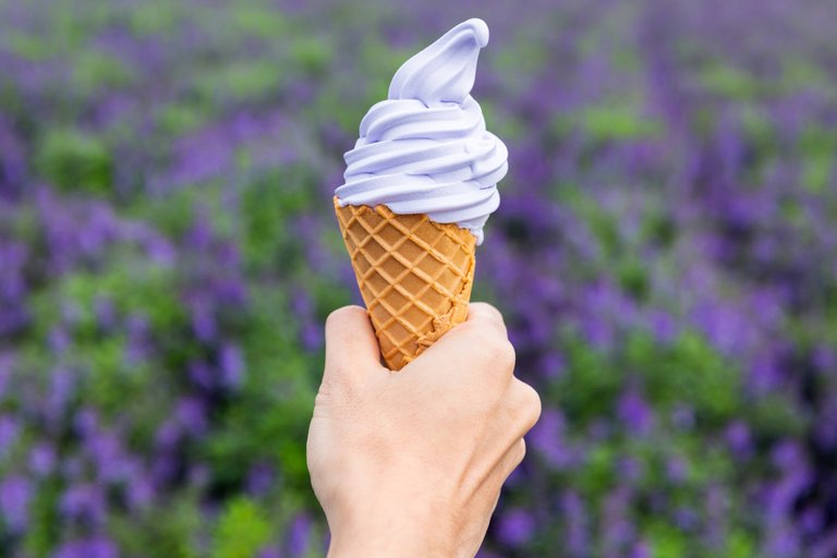 asia-japan-hokkaido-lavender-icecream-large.jpg