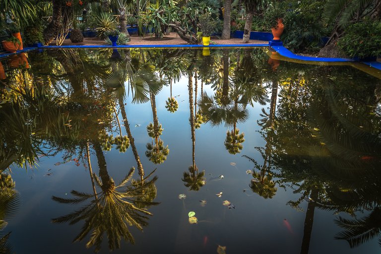 Les Jardins de la Majorelle 74.jpg