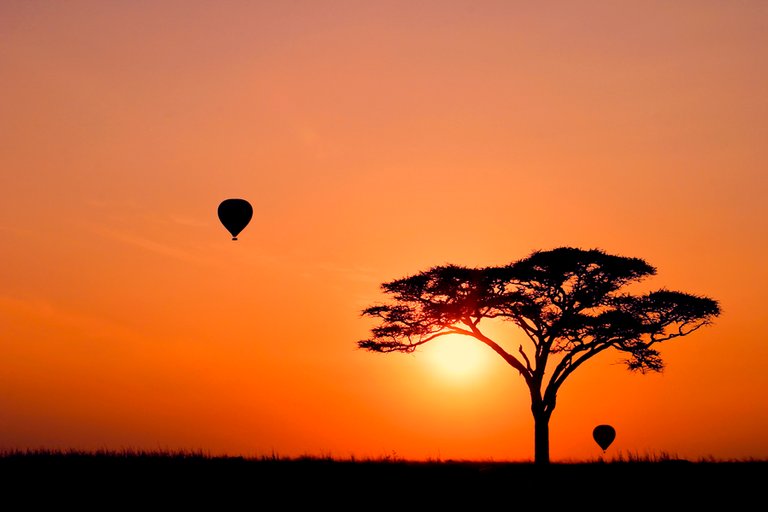New-Day-in-Serengeti.jpg