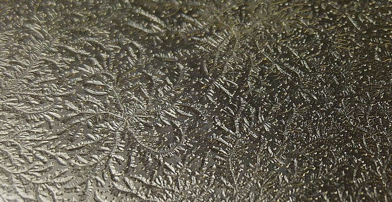 [crop small] Contaminated plate 20171219_153413_HDR.jpg
