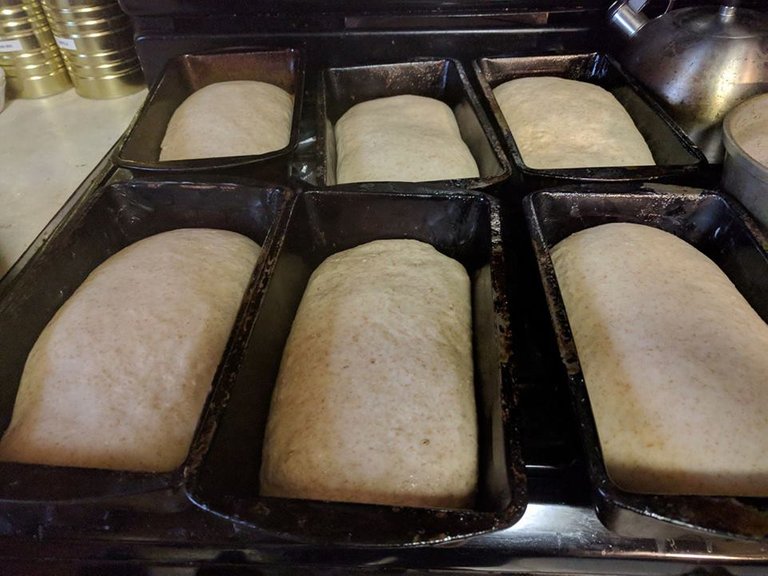 bread prebaked.jpg